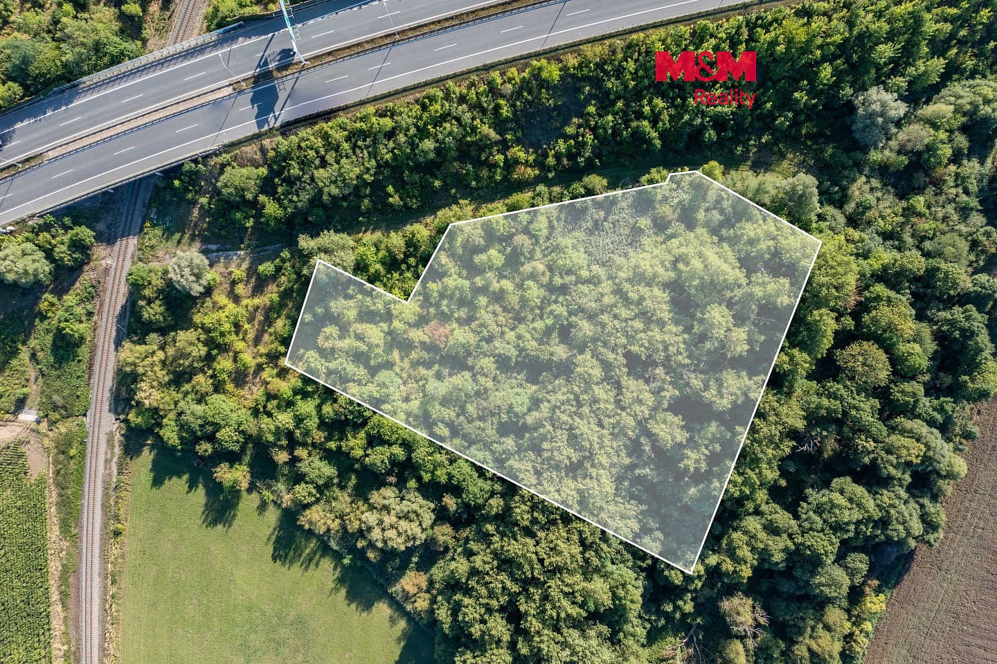 Prodej lesa 8 894 m²