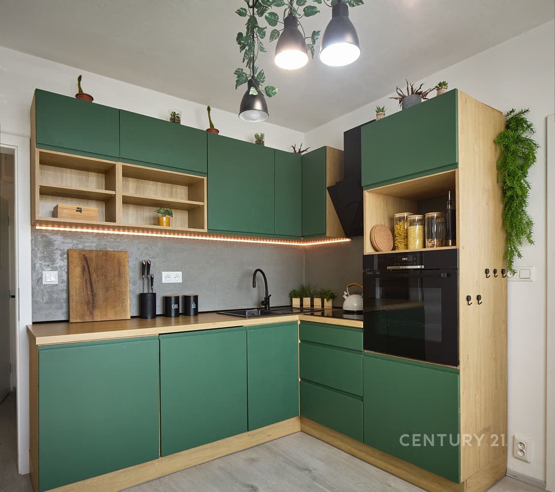 Prodej bytu 1+1 42 m²
