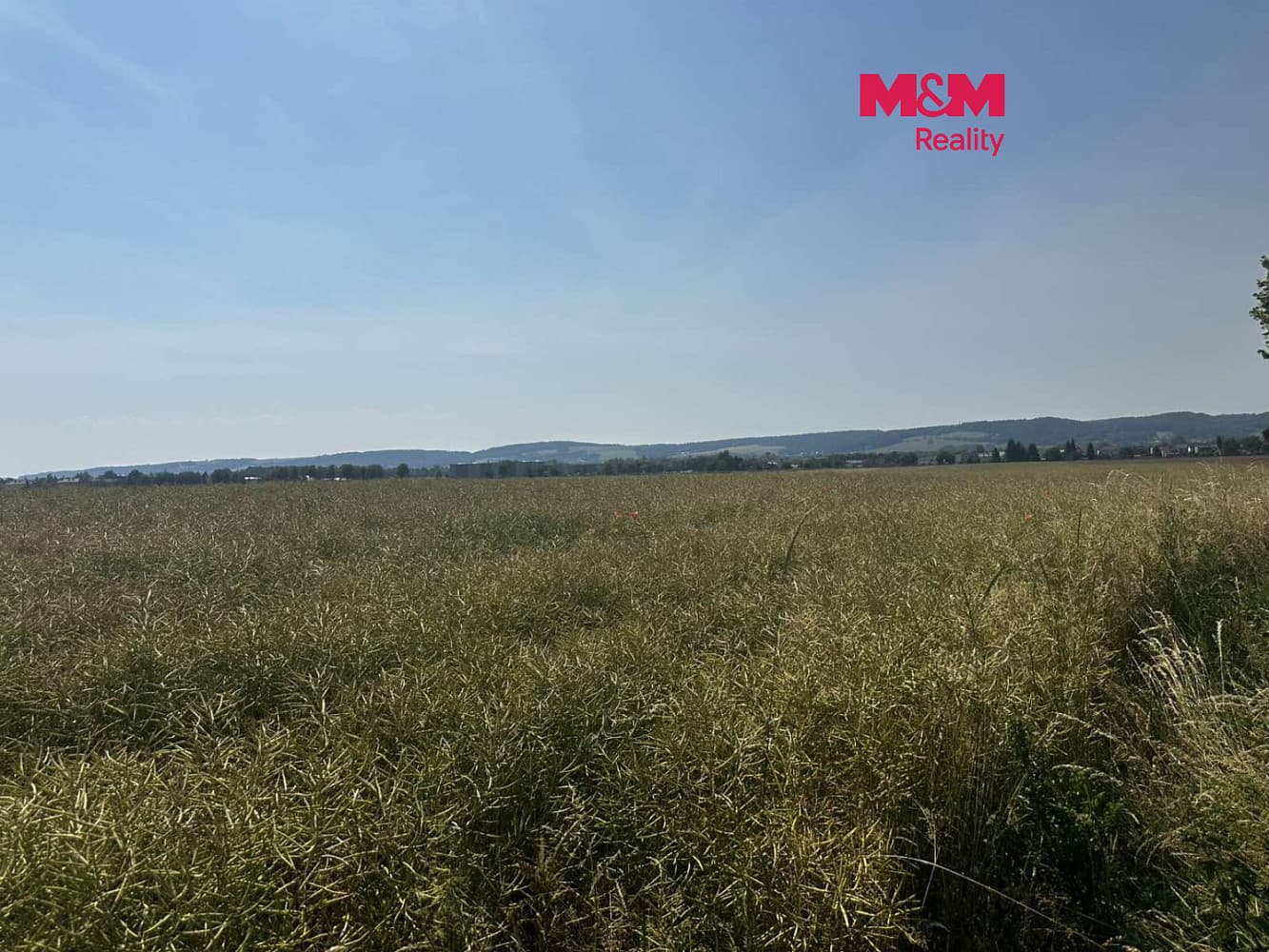Prodej pole 244 621 m²