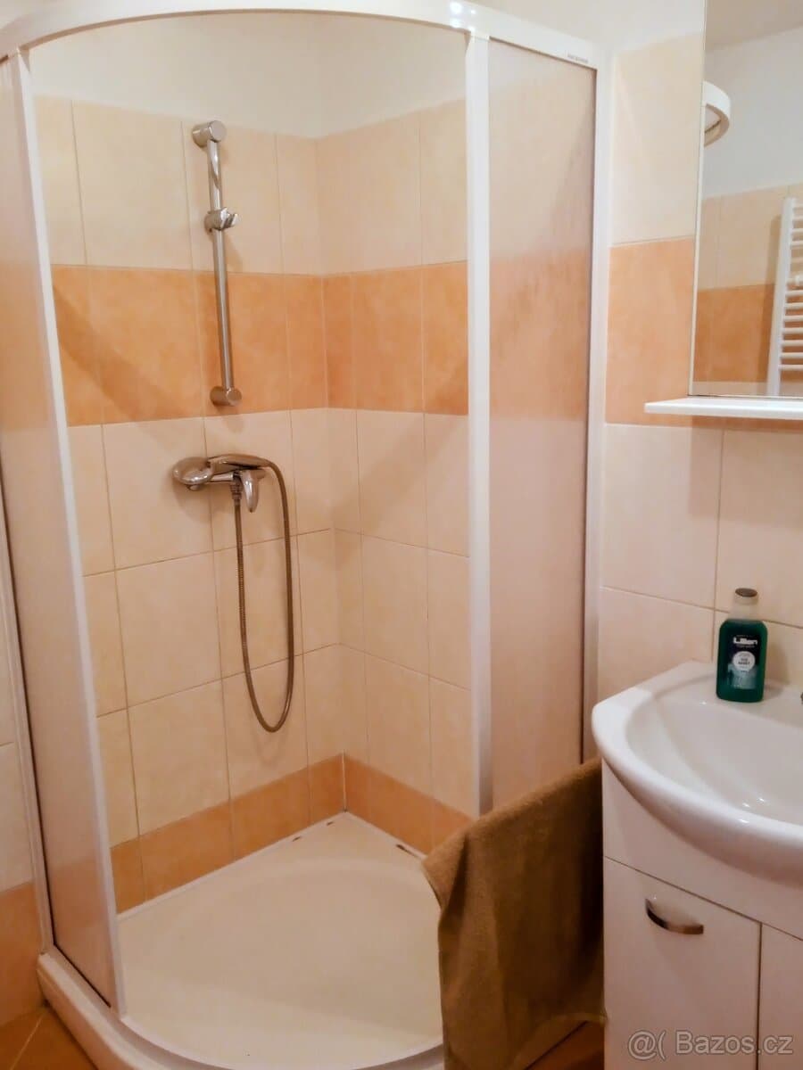 Bzenec, pronájem bytu 2+1