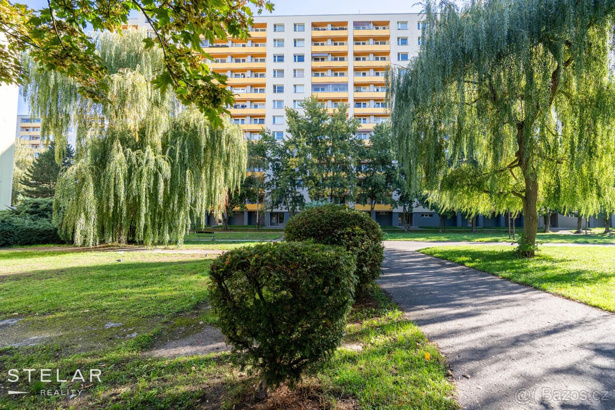 Prodej bytu 1+kk, Hradec Králové