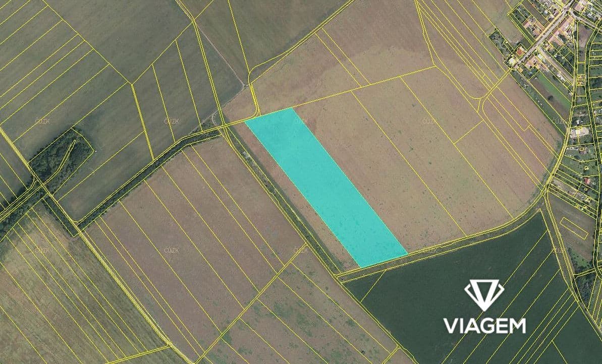 Pole 42 020 m², Podíl 8 % o výměře 3 502 m²