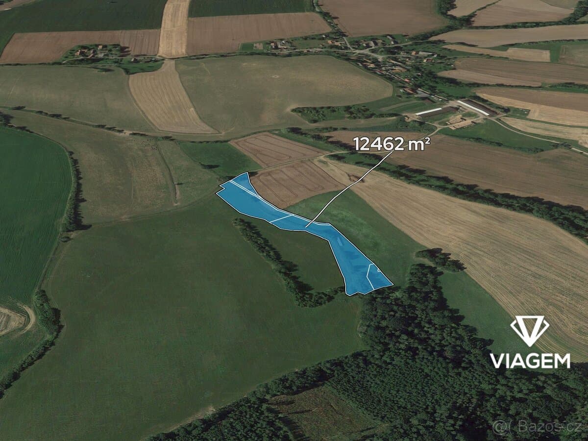 Pole 12 462 m², Podíl 50 % o výměře 6 231 m²