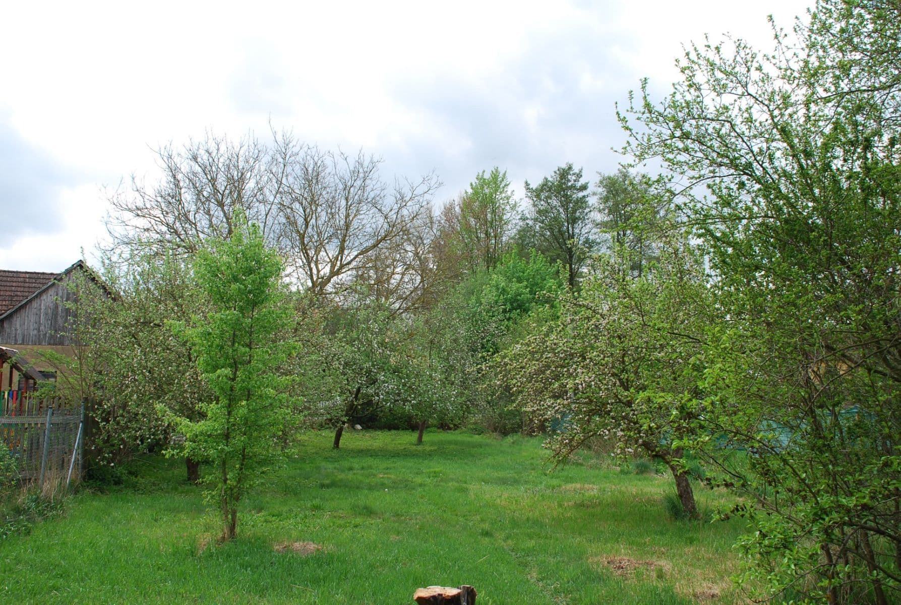Prodej pozemku 798 m²
