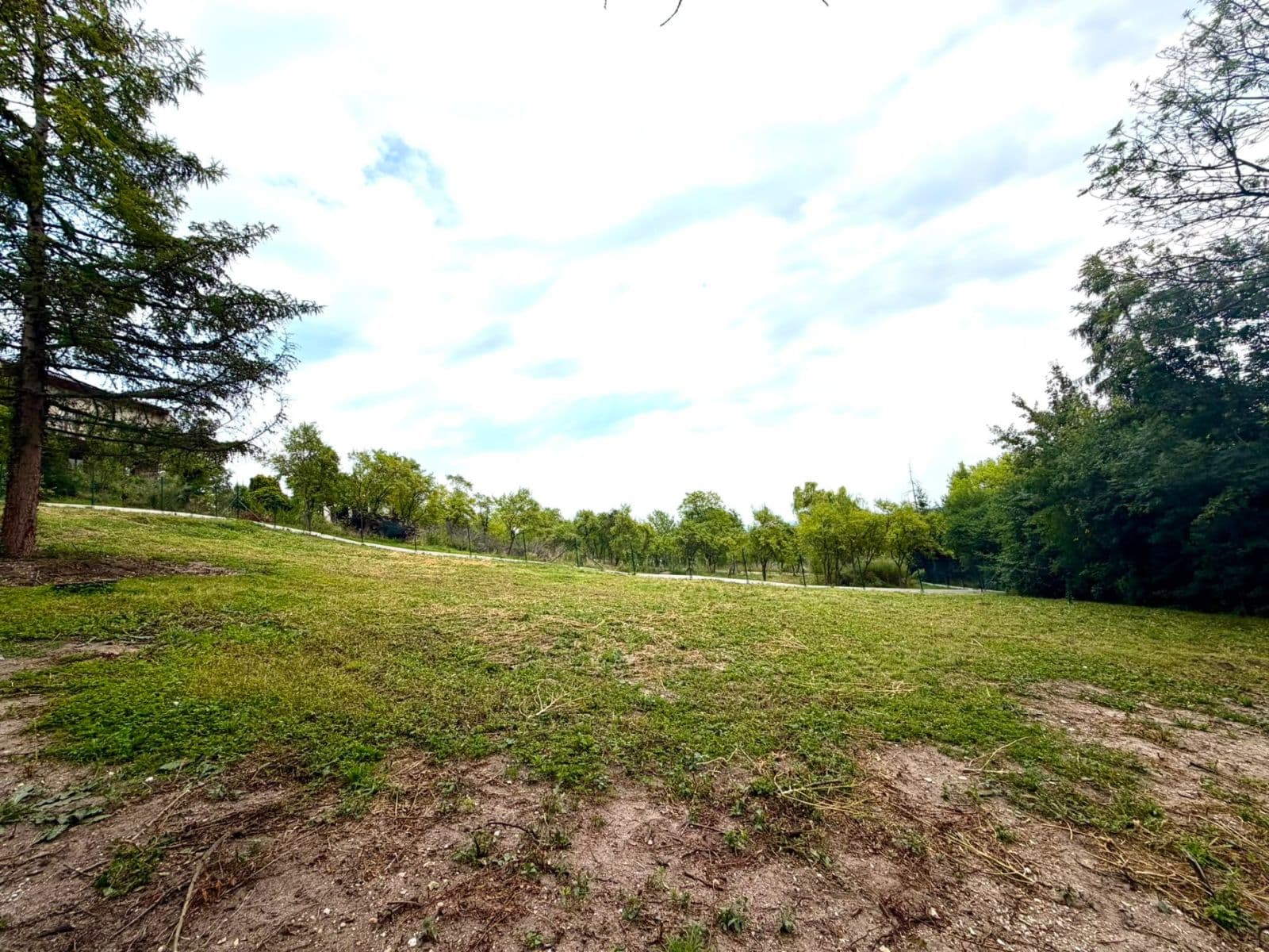 Fotka 9 z 9