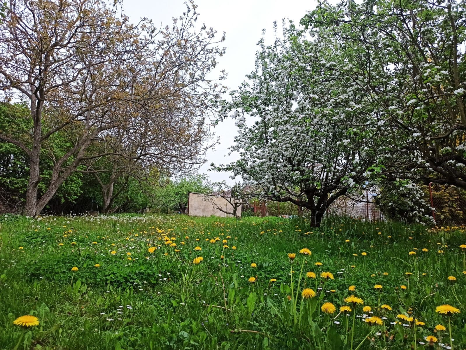 Prodej pozemku 800 m²