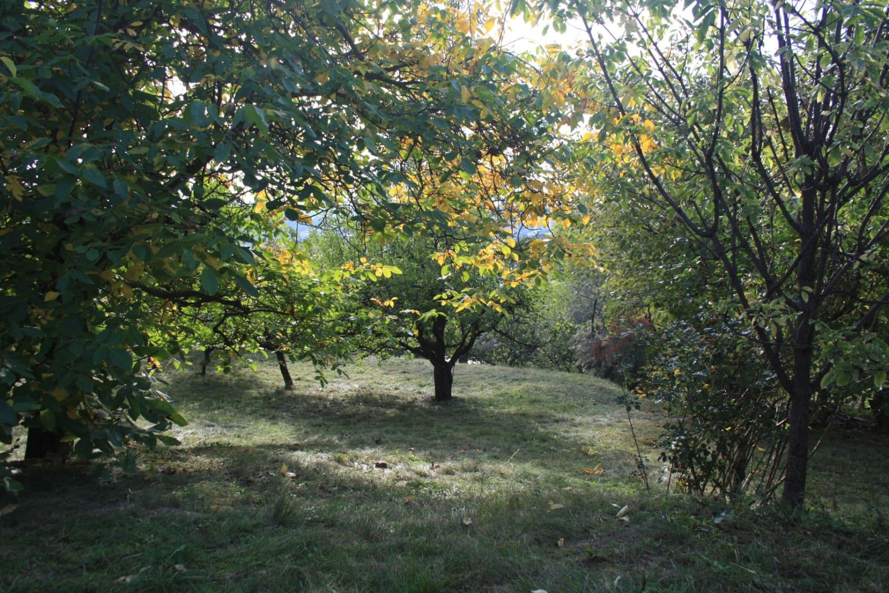Prodej pozemku 1.152 m²