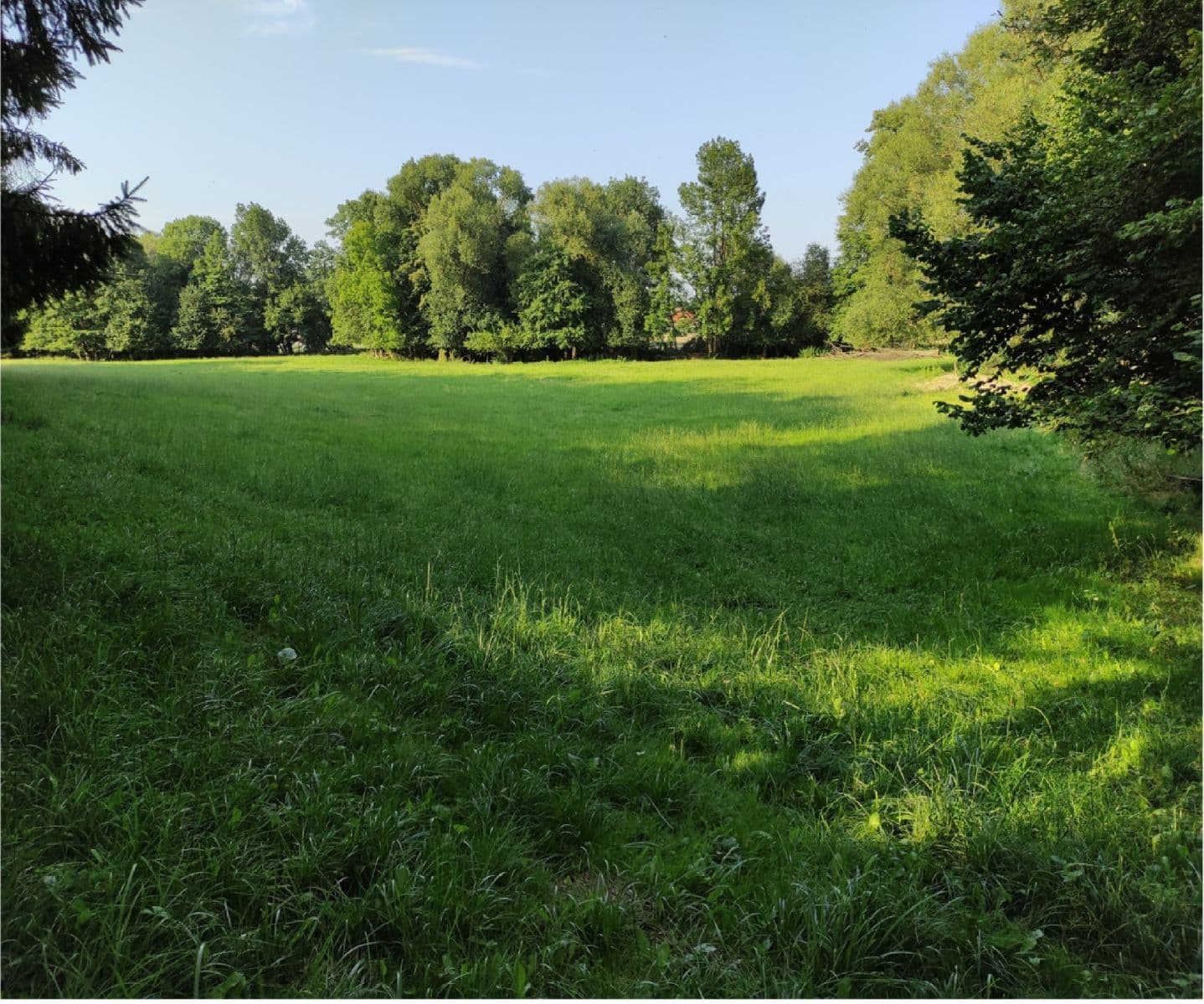 Prodej pozemku 3.974 m²