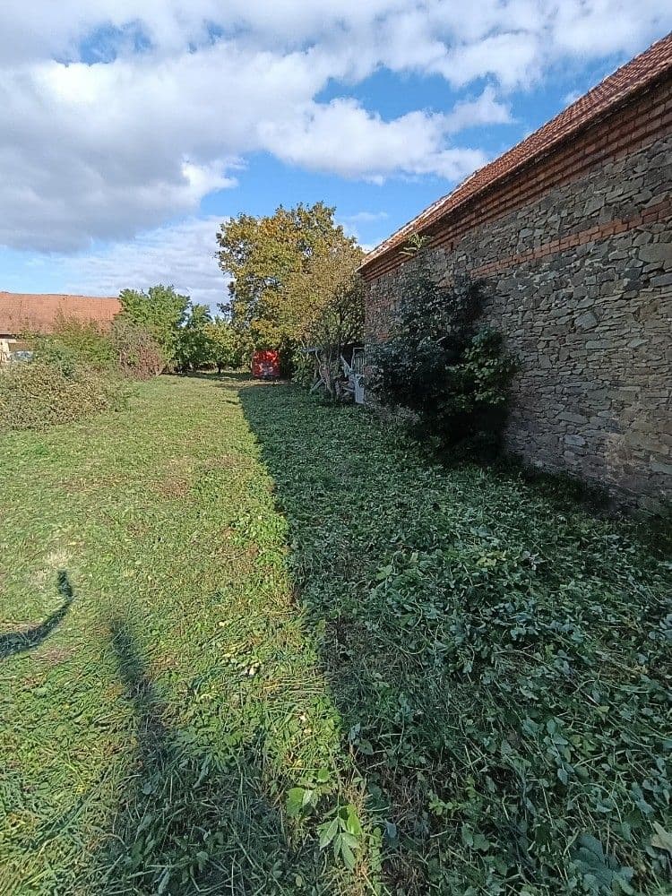 Fotka 6 z 16
