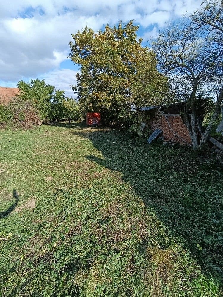 Fotka 7 z 16