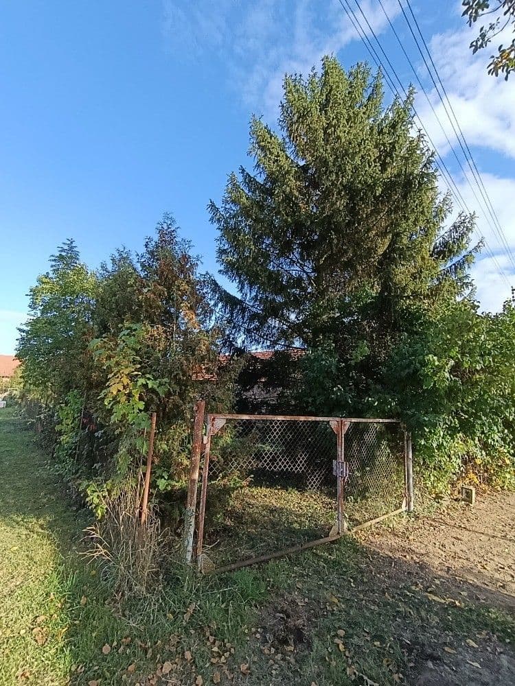 Fotka 13 z 16