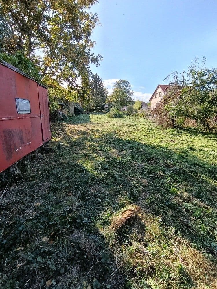 Fotka 10 z 16
