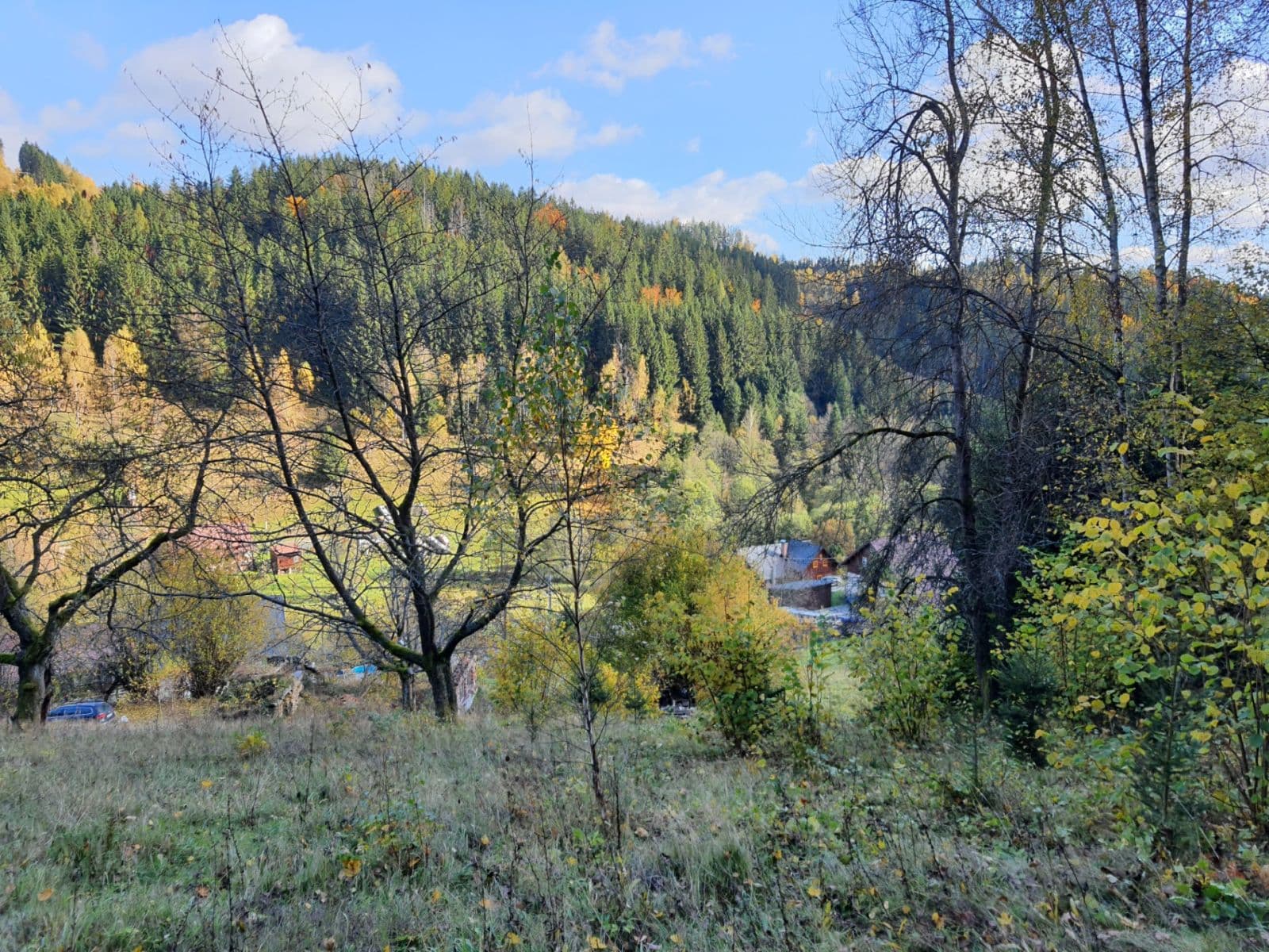 Fotka 10 z 12