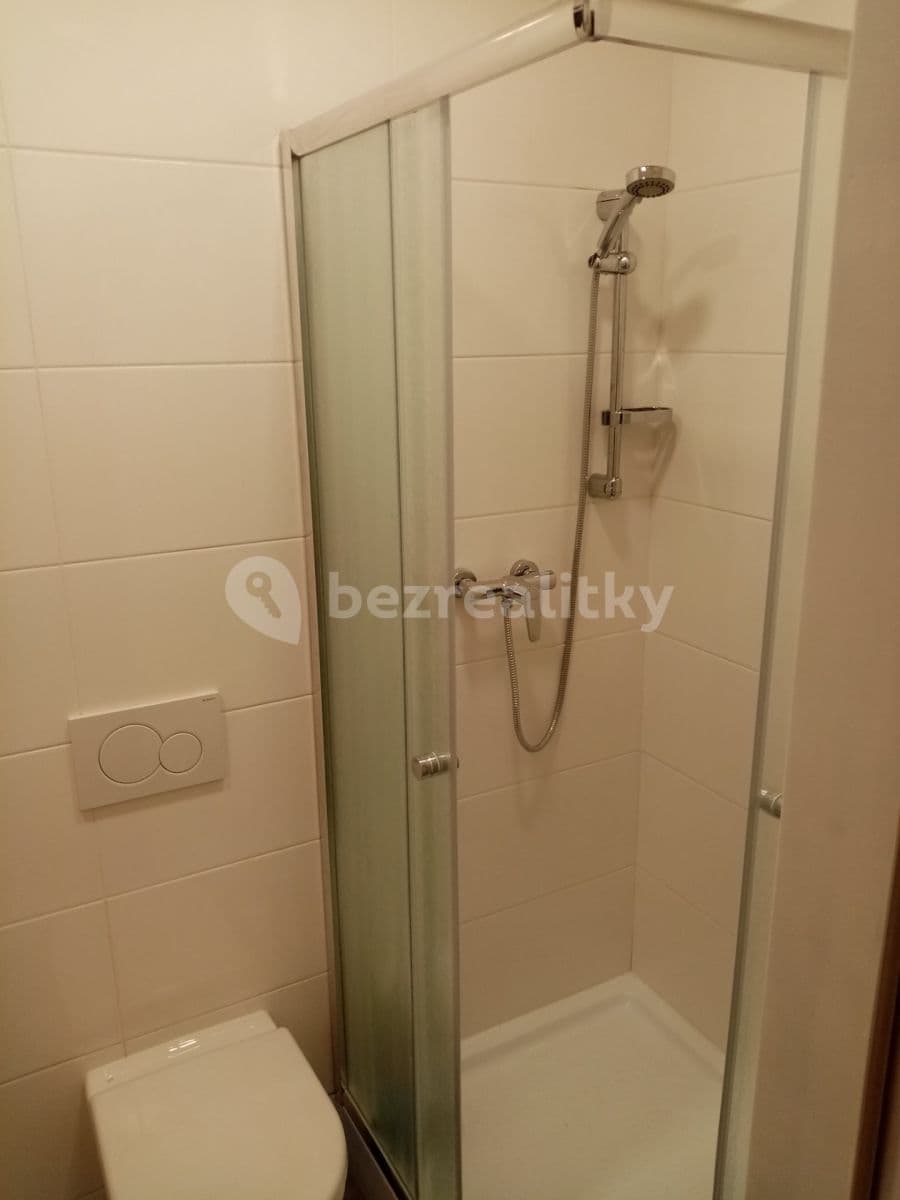 Pronájem bytu 1+1 30 m²