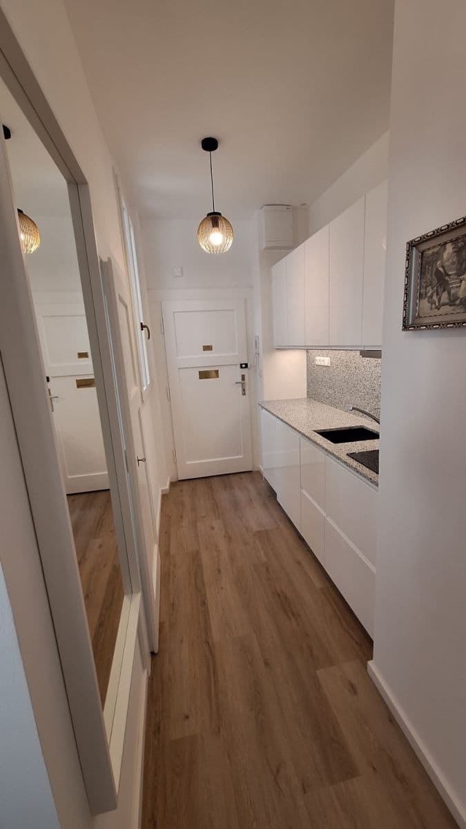 Pronájem bytu 1+kk 32 m²